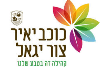 מועצה מקומית כוכב יאיר